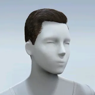 HAIR