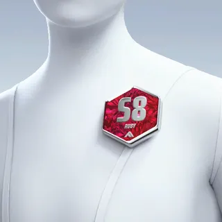 S8 RUBY
