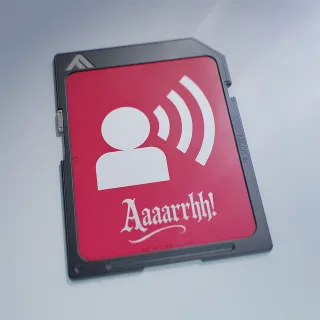 VOICE - PARLEY — Alternate