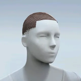 HAIR