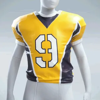 SHOULDER GUARDS