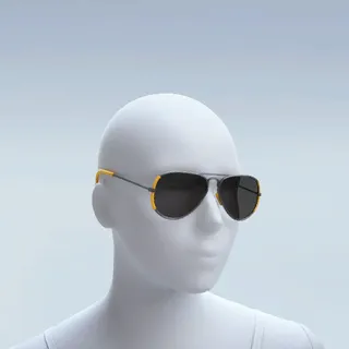 AVIATOR BEHAVIOUR
