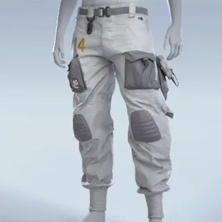 FN ESPORTS CARGOS