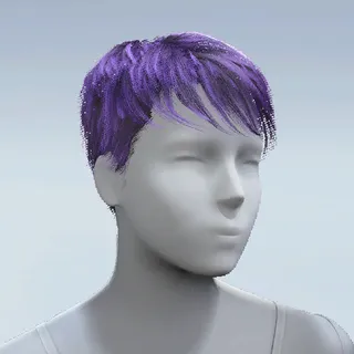 HAIR