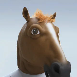 NEIGH SAYER