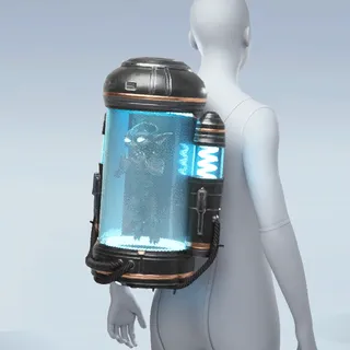 PRIORITY PASSANGER