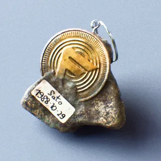 FOSSIL FORTUNE