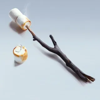 THE ROASTMASTER SET