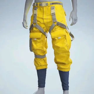 SAFETY CARGOS