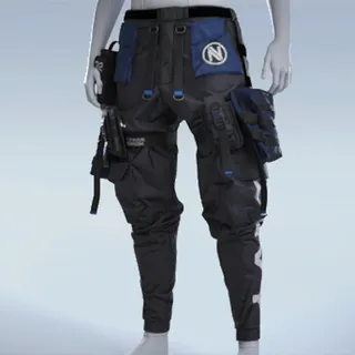 ENVY CARGOS