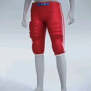 INTEGRATED PANTS