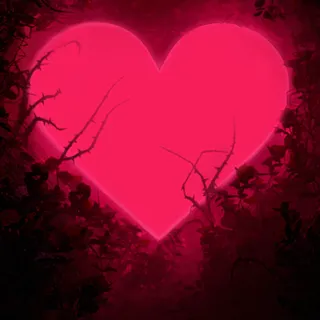 HEART OF THE ARENA