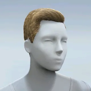 HAIR