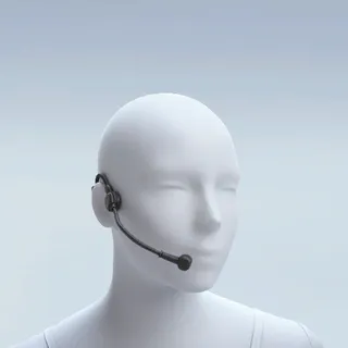 ROARLINE MIC