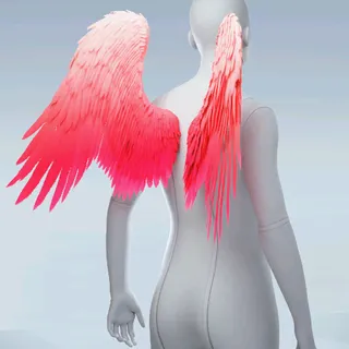 WINGS OF AFFECTION