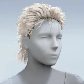 HAIR