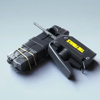 STANDARD ISSUE