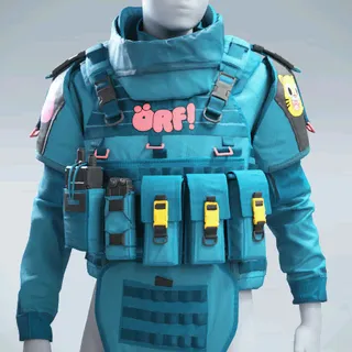 OPERATION ÖRF VEST